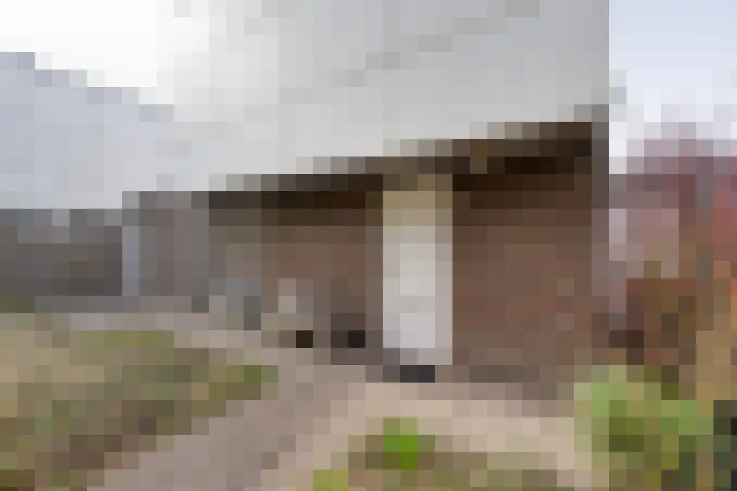 In het Midden 61 Uithoorn thumbnail 6