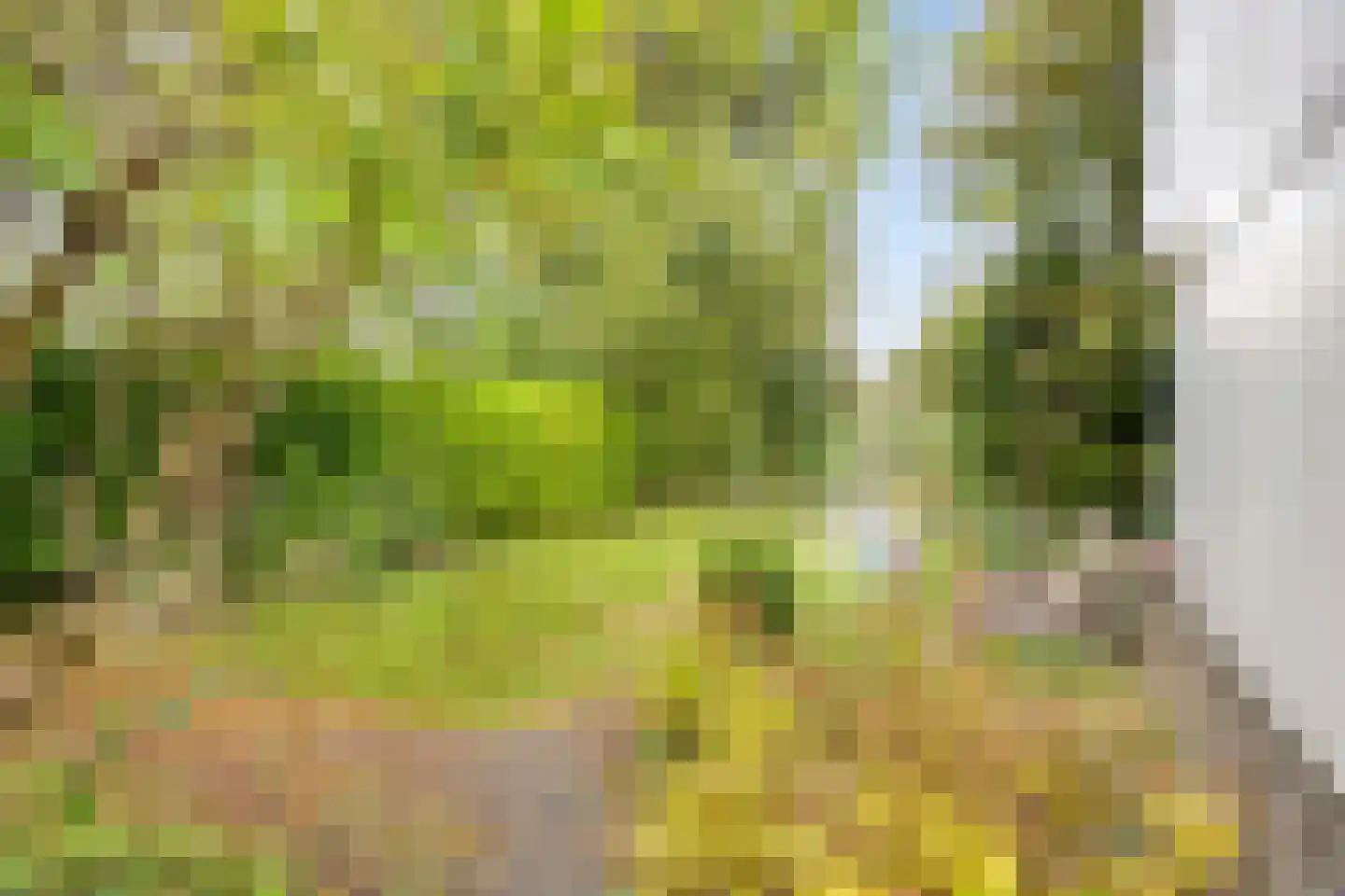 In het Midden 67 Uithoorn thumbnail 28
