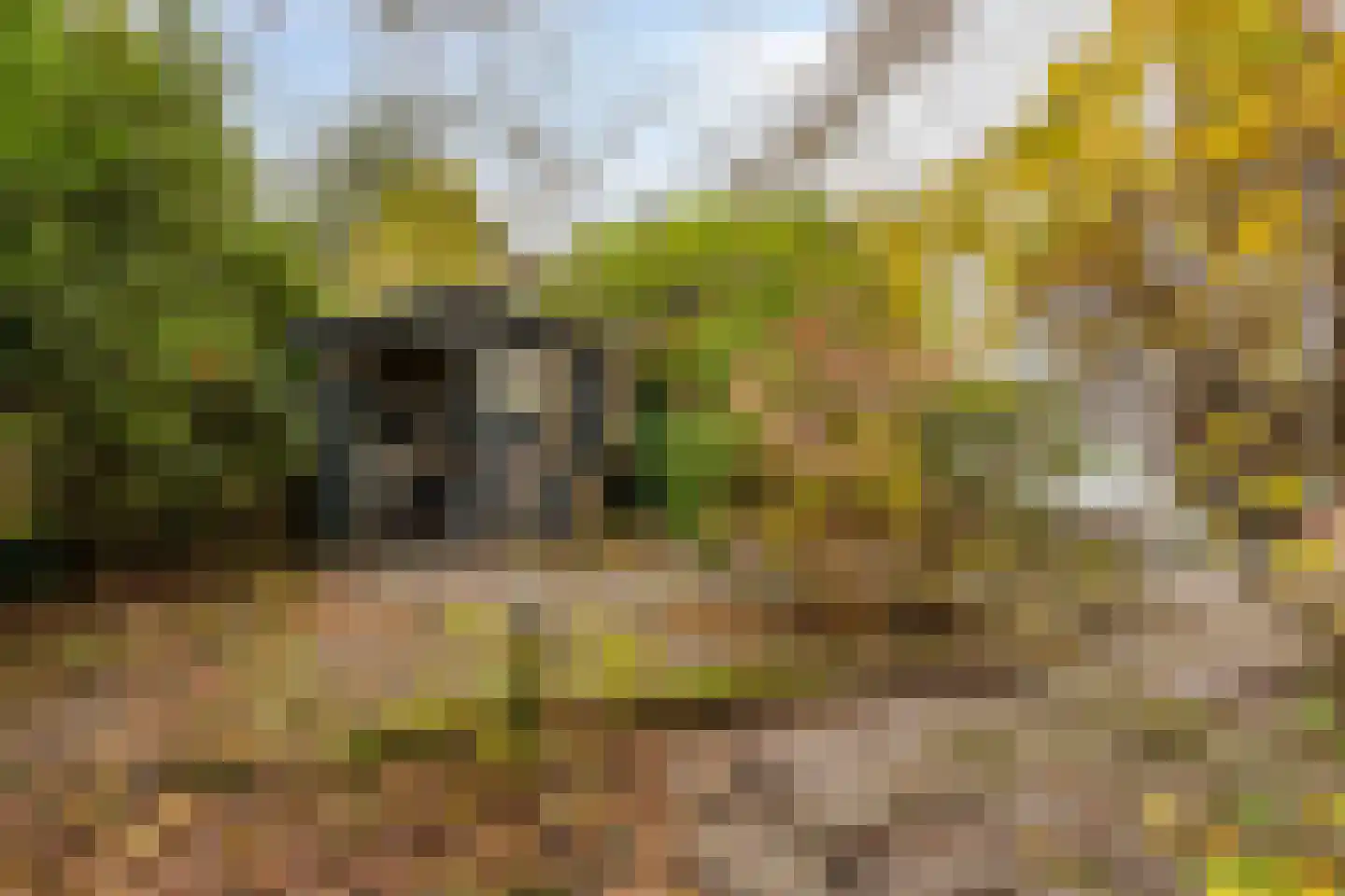 In het Midden 69 Uithoorn thumbnail 16