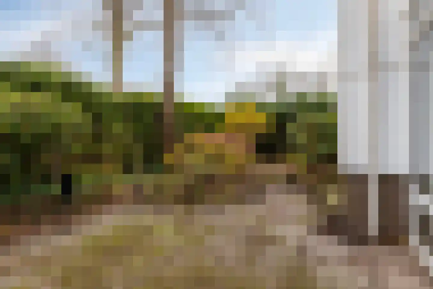 In het Midden 69 Uithoorn thumbnail 18