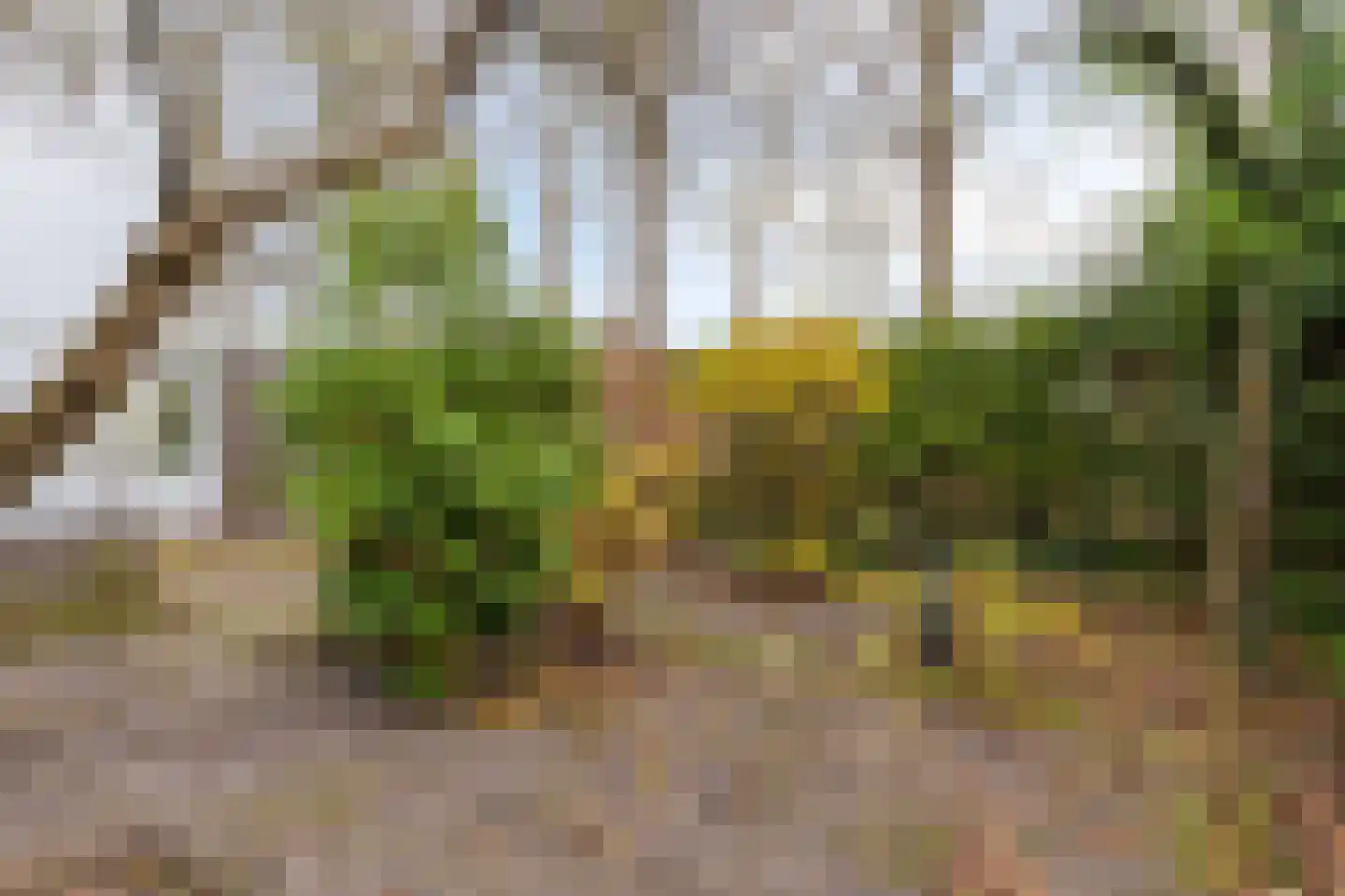 In het Midden 69 Uithoorn thumbnail 20