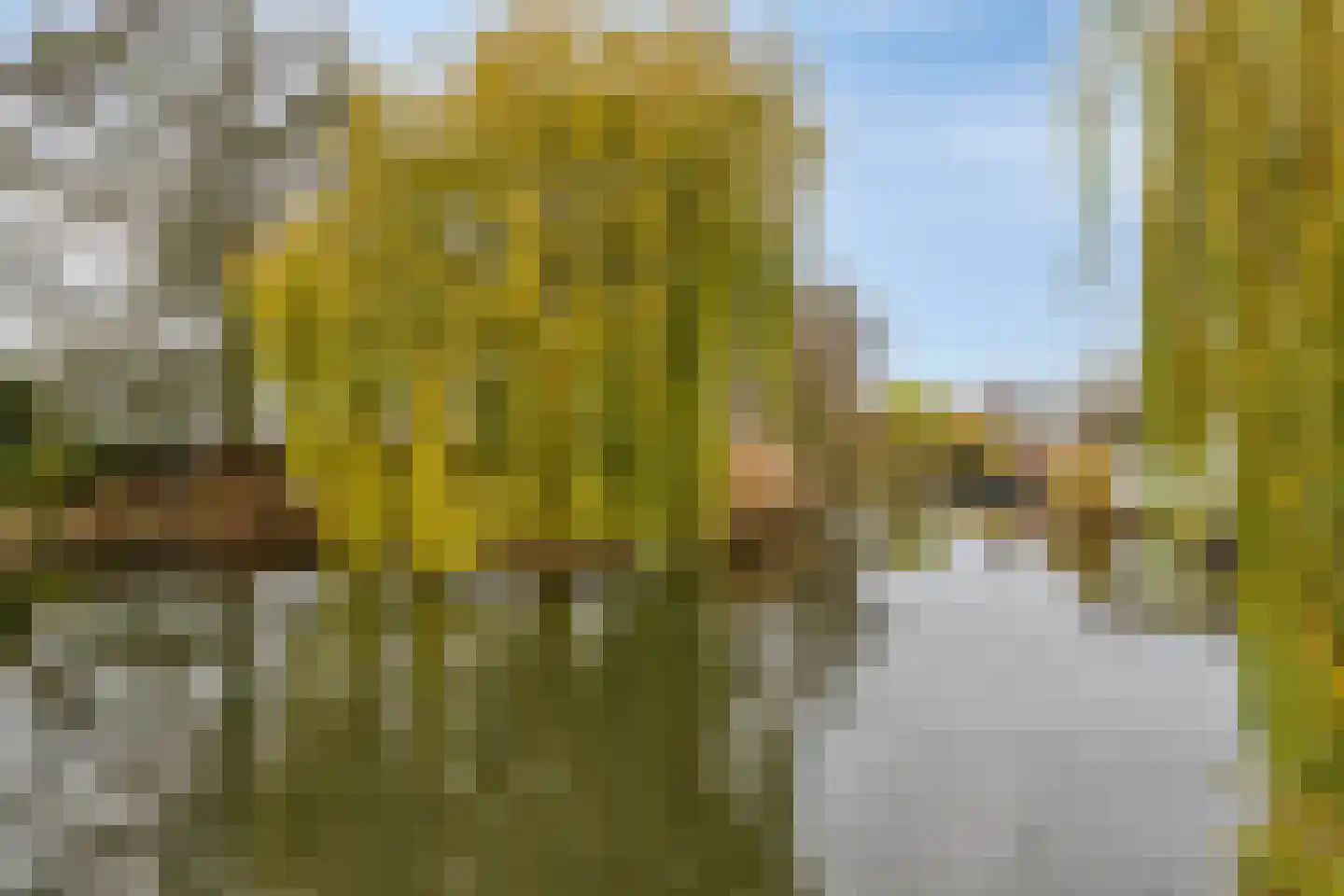 In het Midden 69 Uithoorn thumbnail 39