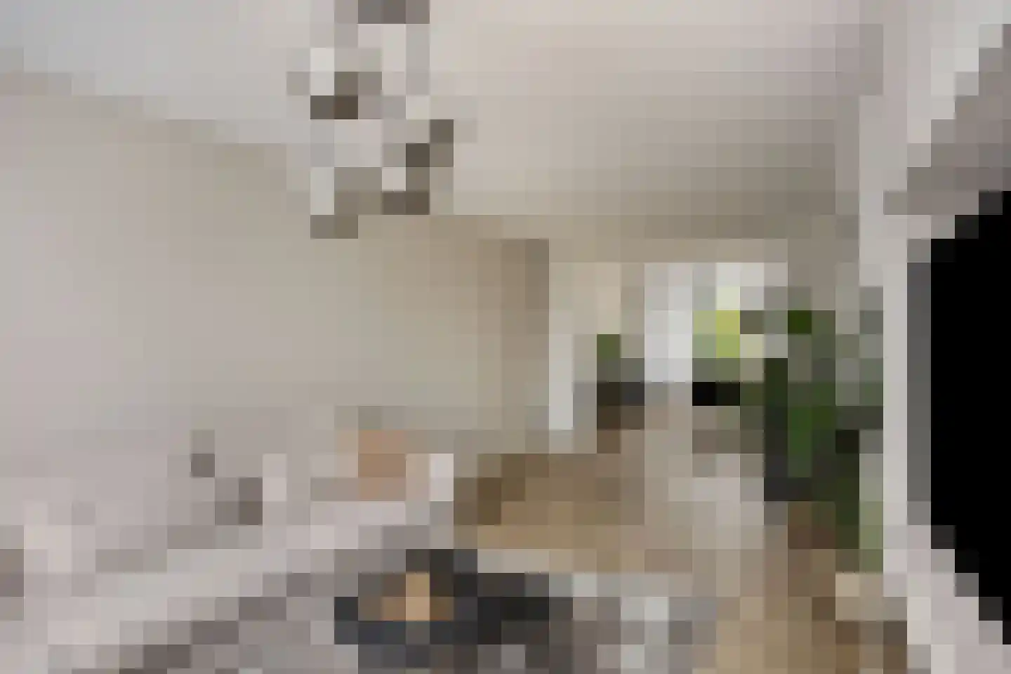 In het Neervelt 23 Meijel thumbnail 14
