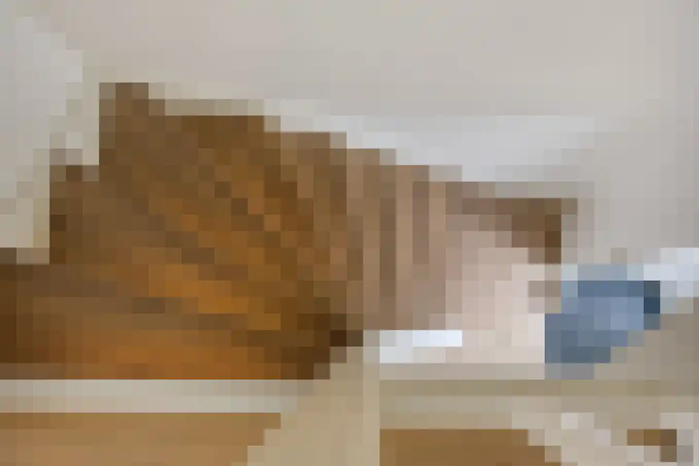 In het Neervelt 23 Meijel thumbnail 30