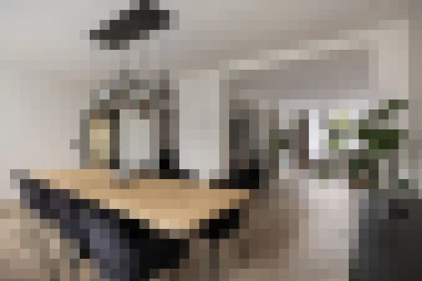 In het Neervelt 23 Meijel thumbnail 4