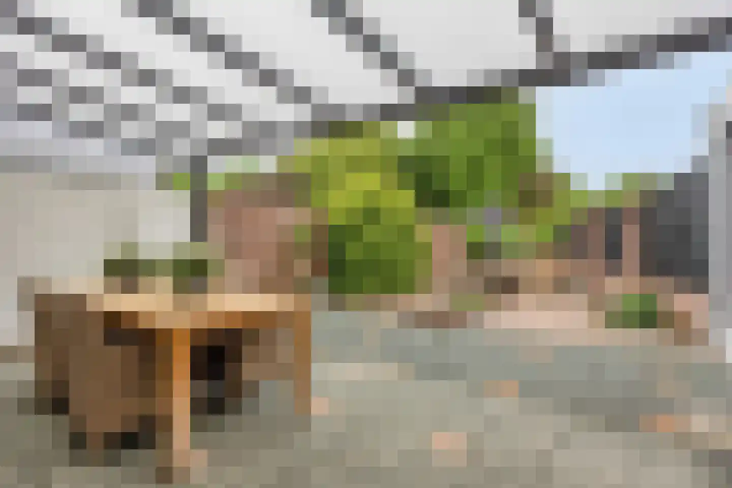 In het Neervelt 23 Meijel thumbnail 42