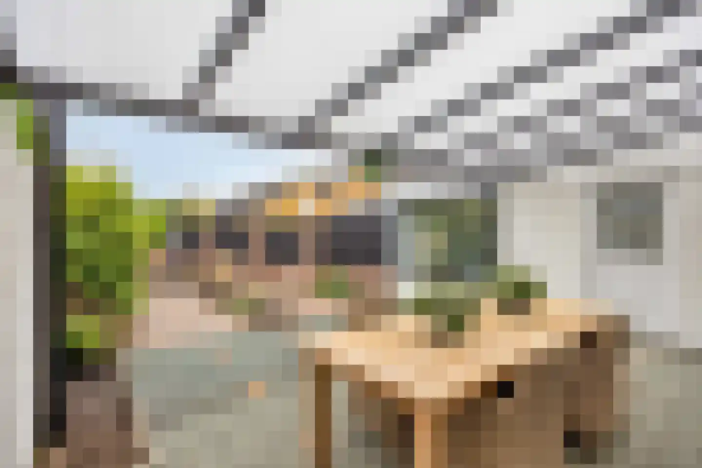 In het Neervelt 23 Meijel thumbnail 43