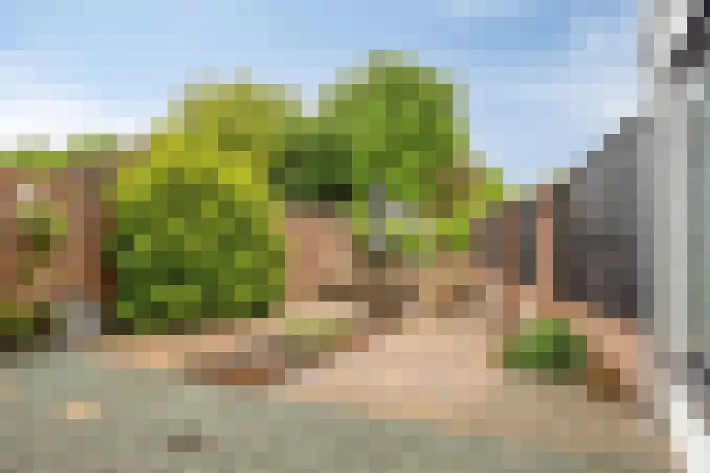 In het Neervelt 23 Meijel thumbnail 46