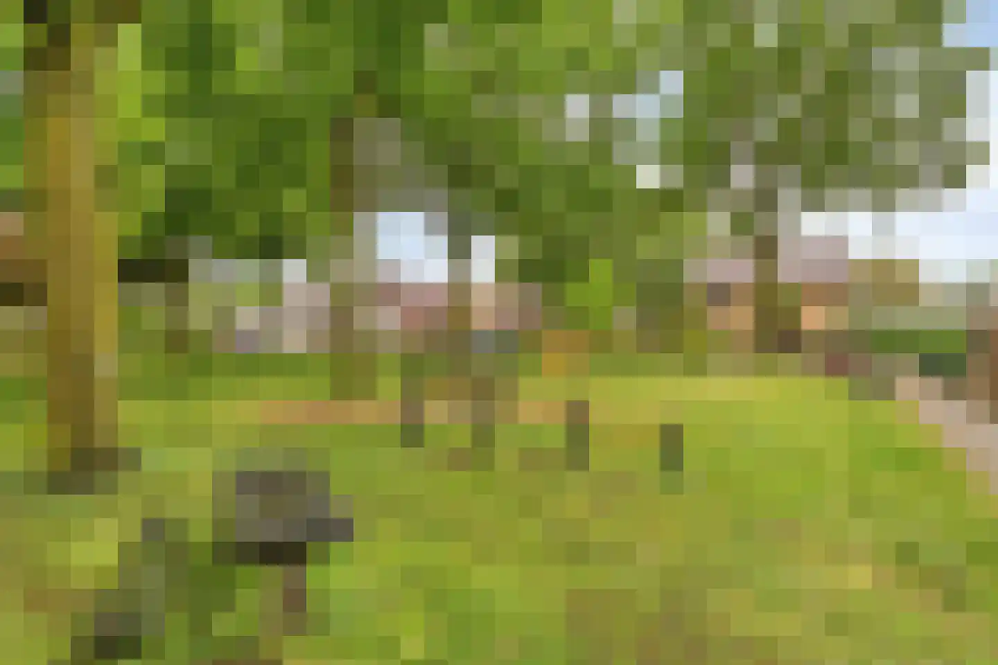 In het Neervelt 23 Meijel thumbnail 53