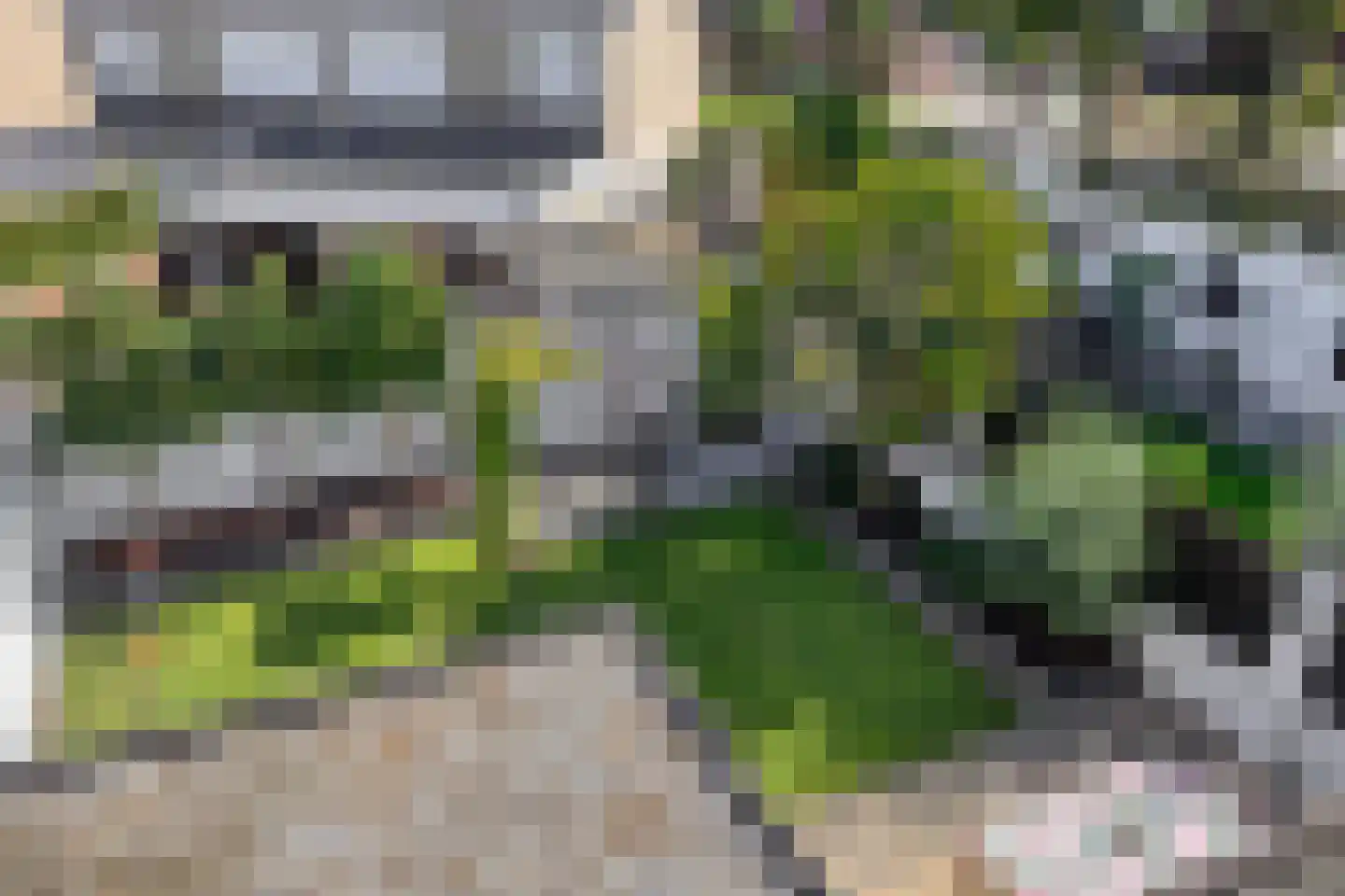 In het Neervelt 4 Meijel thumbnail 32