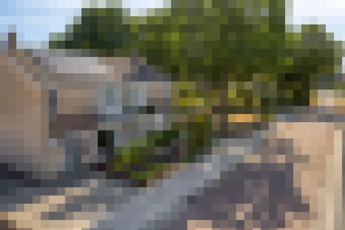 In het Neervelt 4 Meijel thumbnail 33