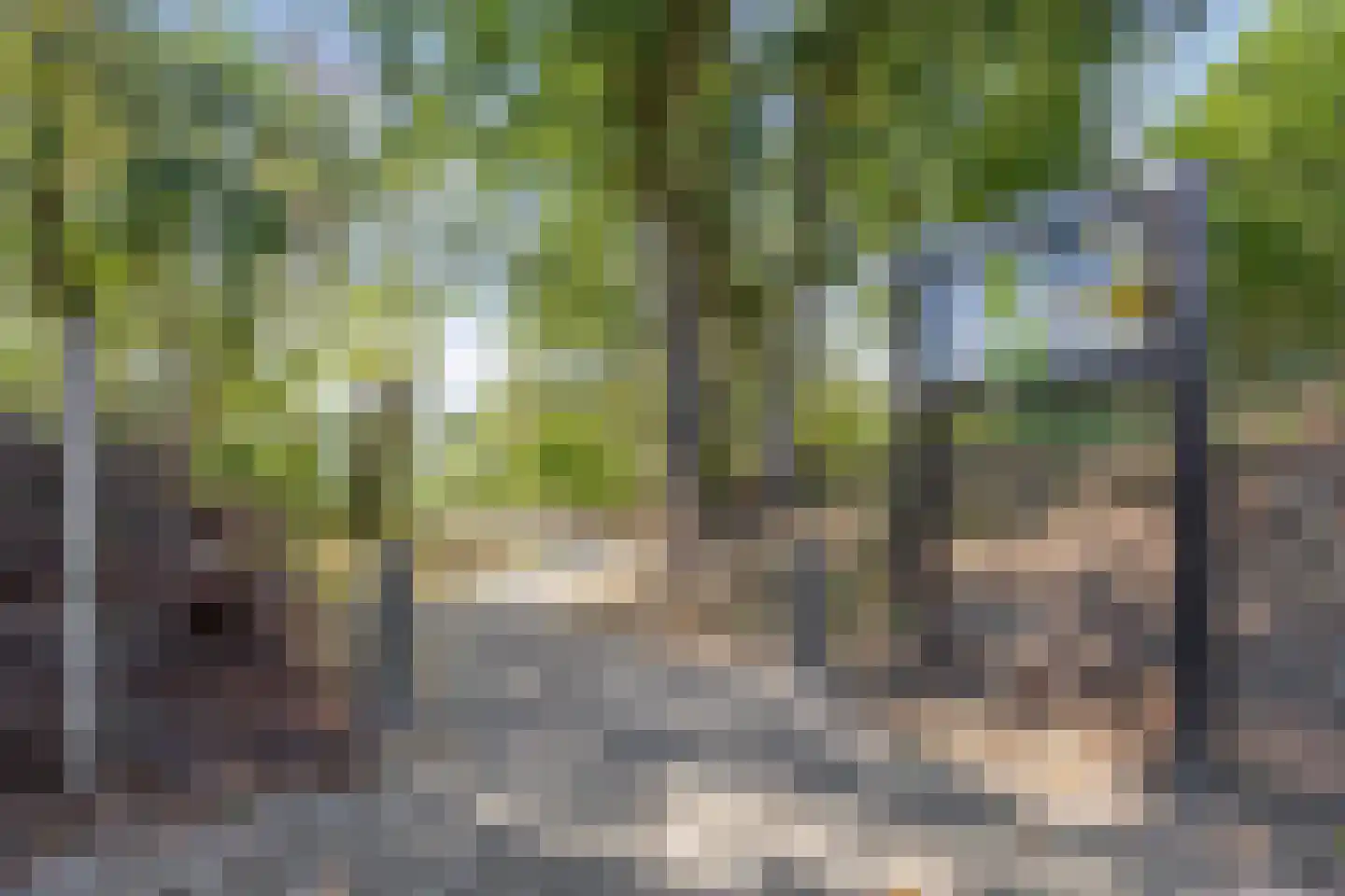 In het Neervelt 4 Meijel thumbnail 40