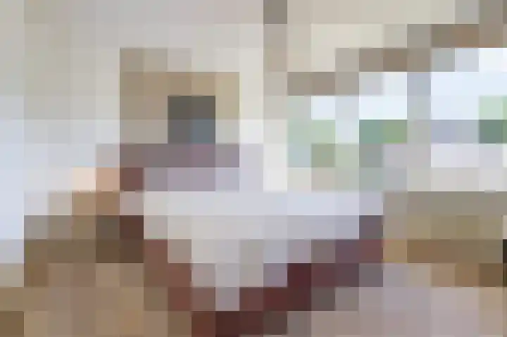 In het Neervelt 6 Meijel thumbnail 15