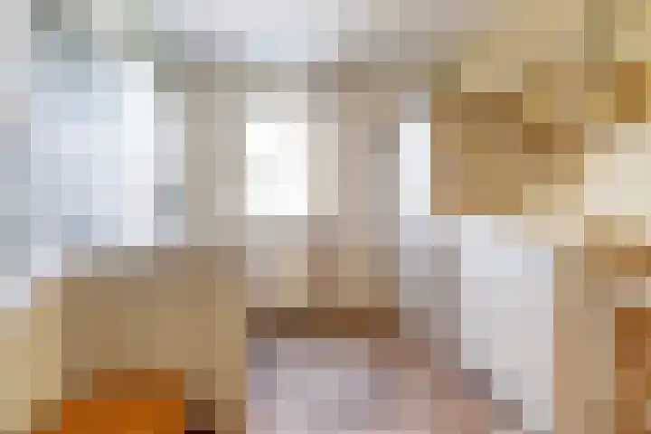 In het Neervelt 6 Meijel thumbnail 20