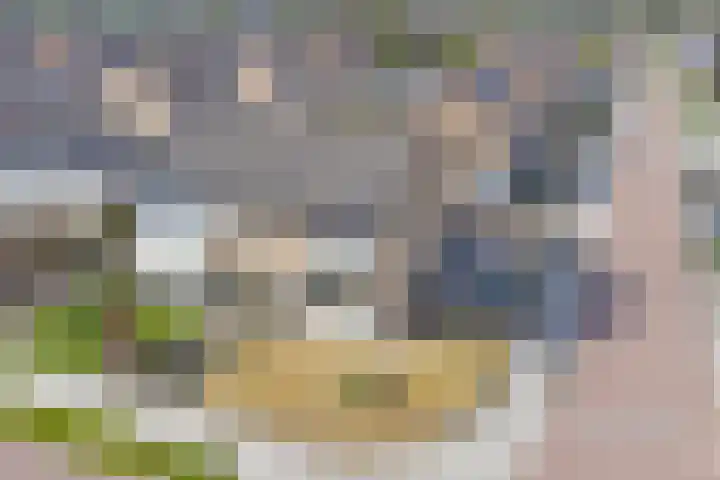 In het Neervelt 6 Meijel thumbnail 32