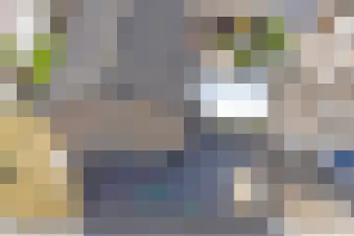 In het Neervelt 6 Meijel thumbnail 34