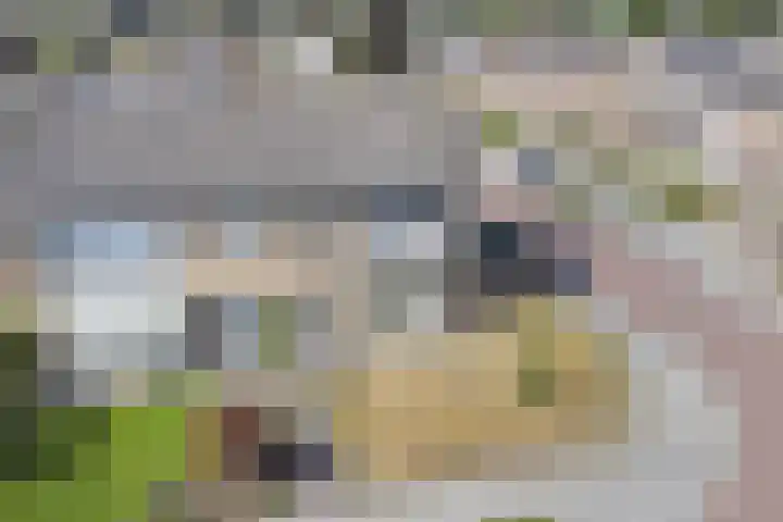 In het Neervelt 6 Meijel thumbnail 35