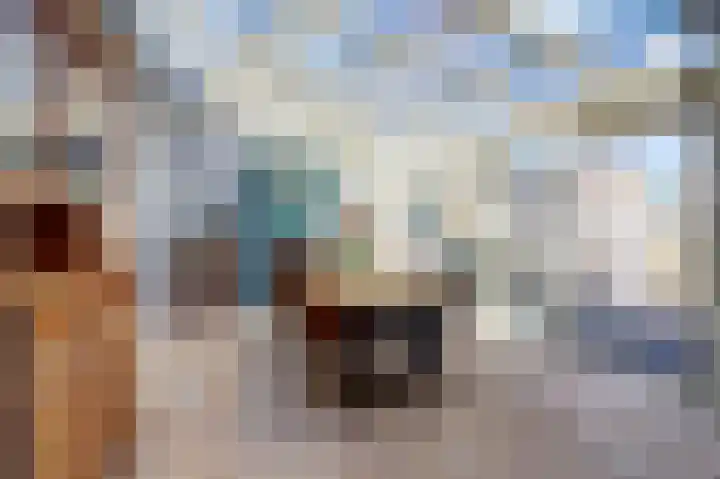 In het Neervelt 6 Meijel thumbnail 4
