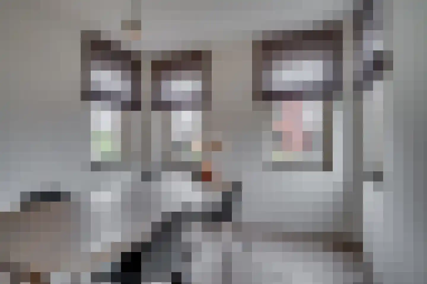 In het Veld 2 Venlo thumbnail 11