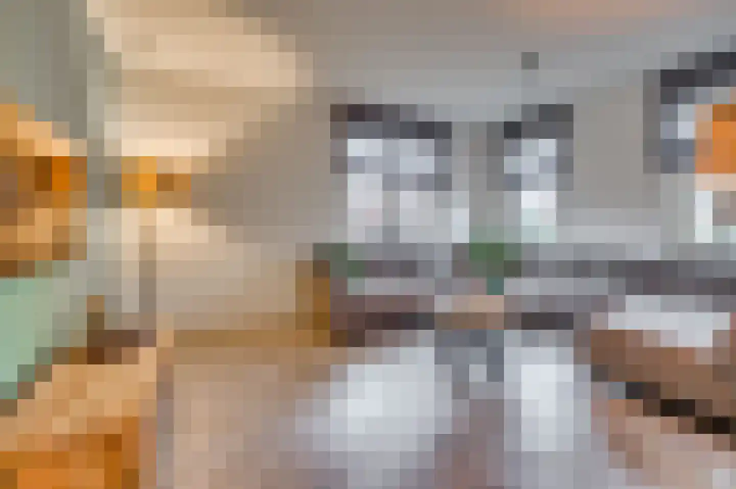 In het Veld 2 Venlo thumbnail 14
