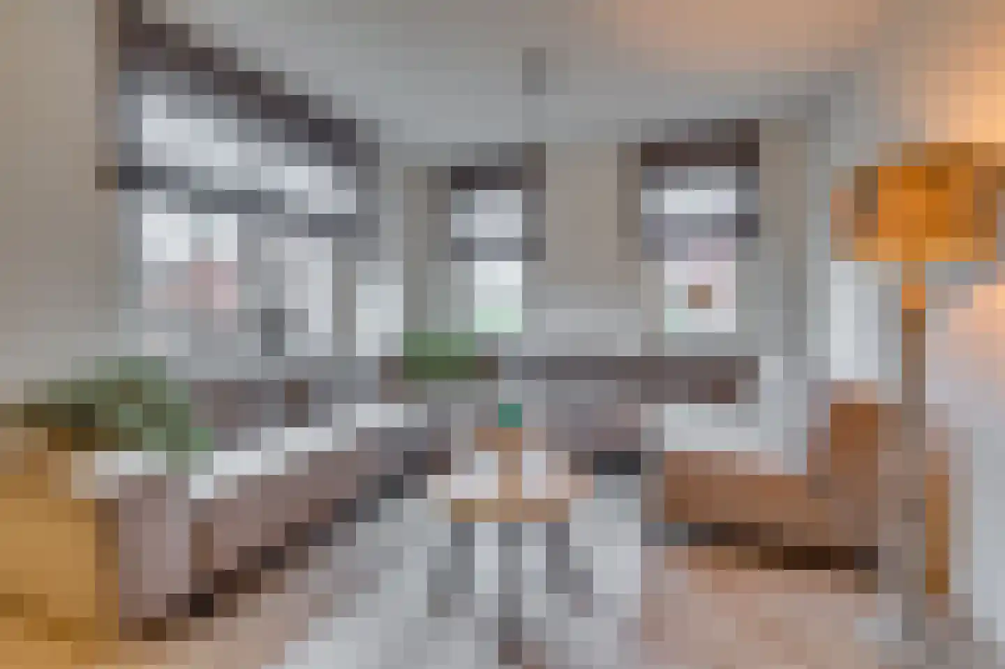 In het Veld 2 Venlo thumbnail 15
