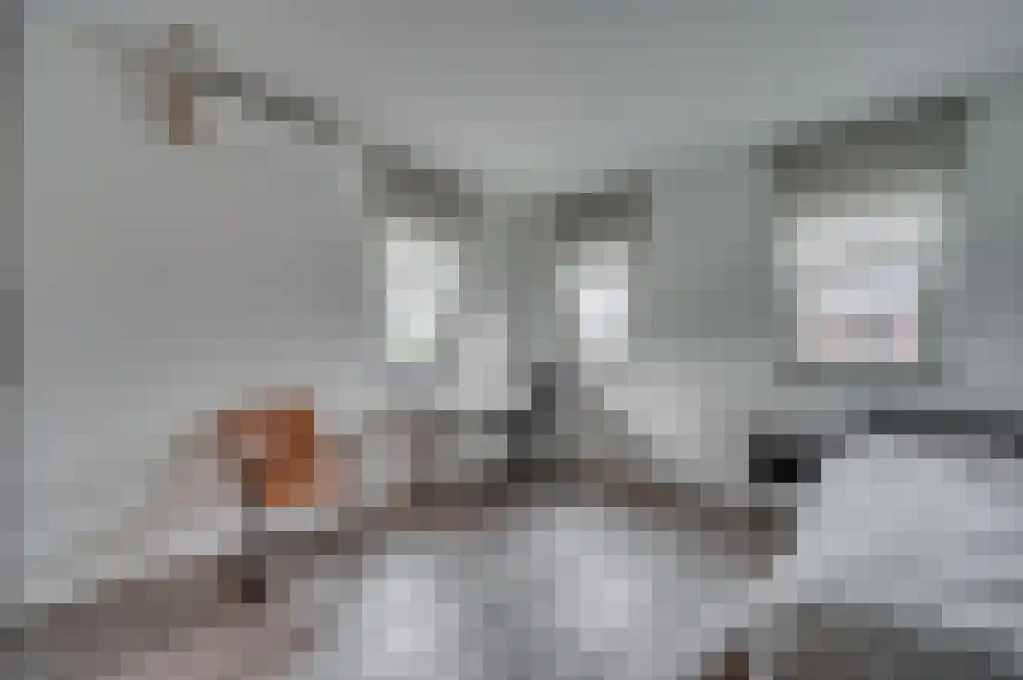In het Veld 2 Venlo thumbnail 31