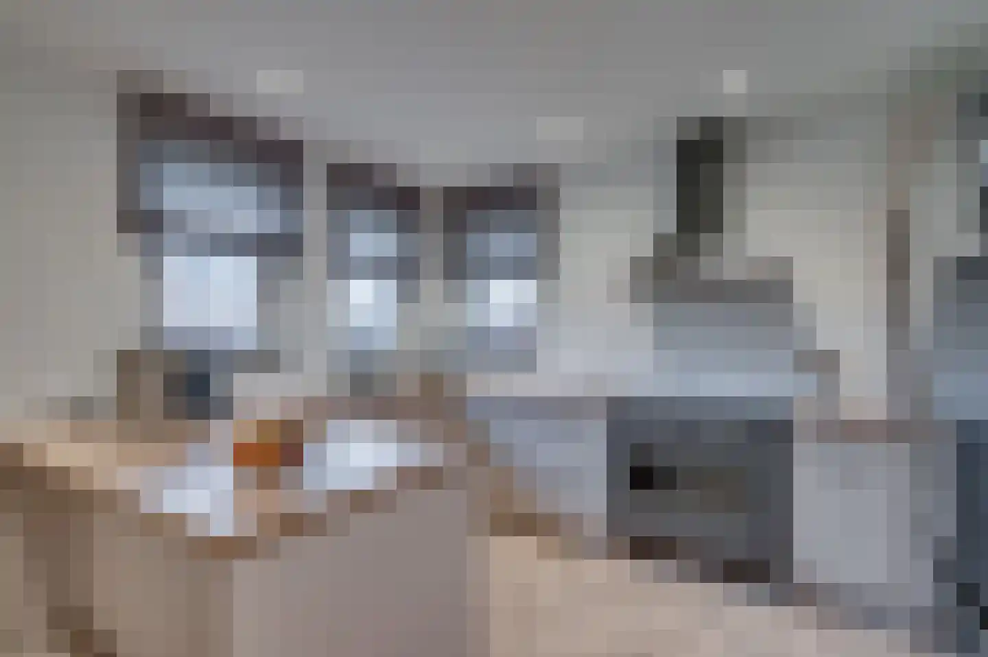 In het Veld 2 Venlo thumbnail 4