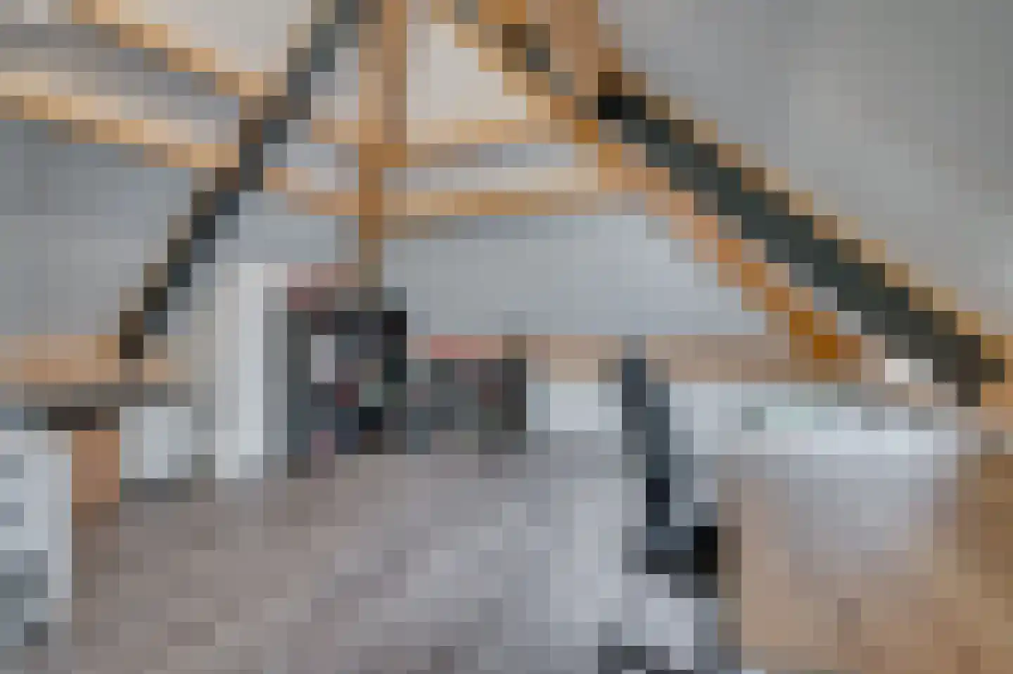 In het Veld 2 Venlo thumbnail 41