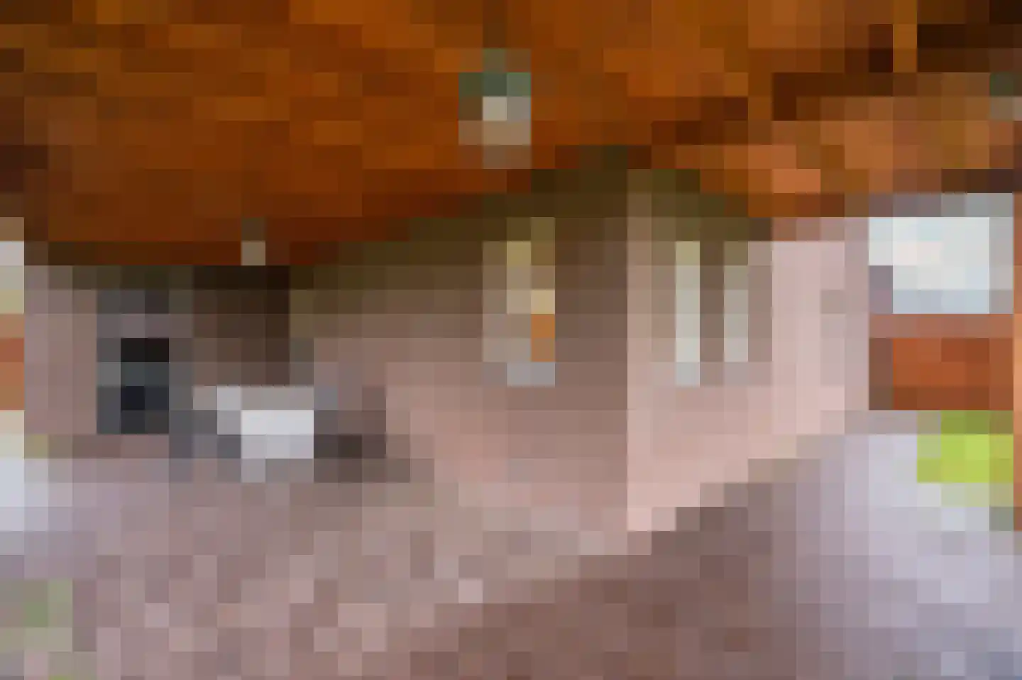 In het Veld 2 Venlo thumbnail 47