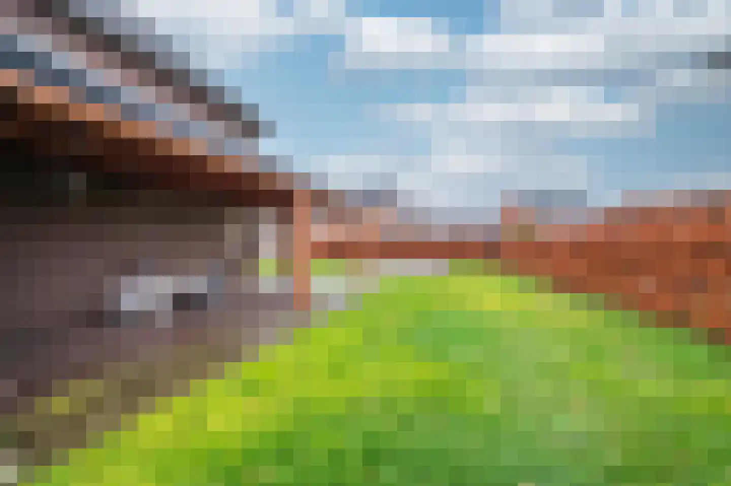 In het Veld 2 Venlo thumbnail 50