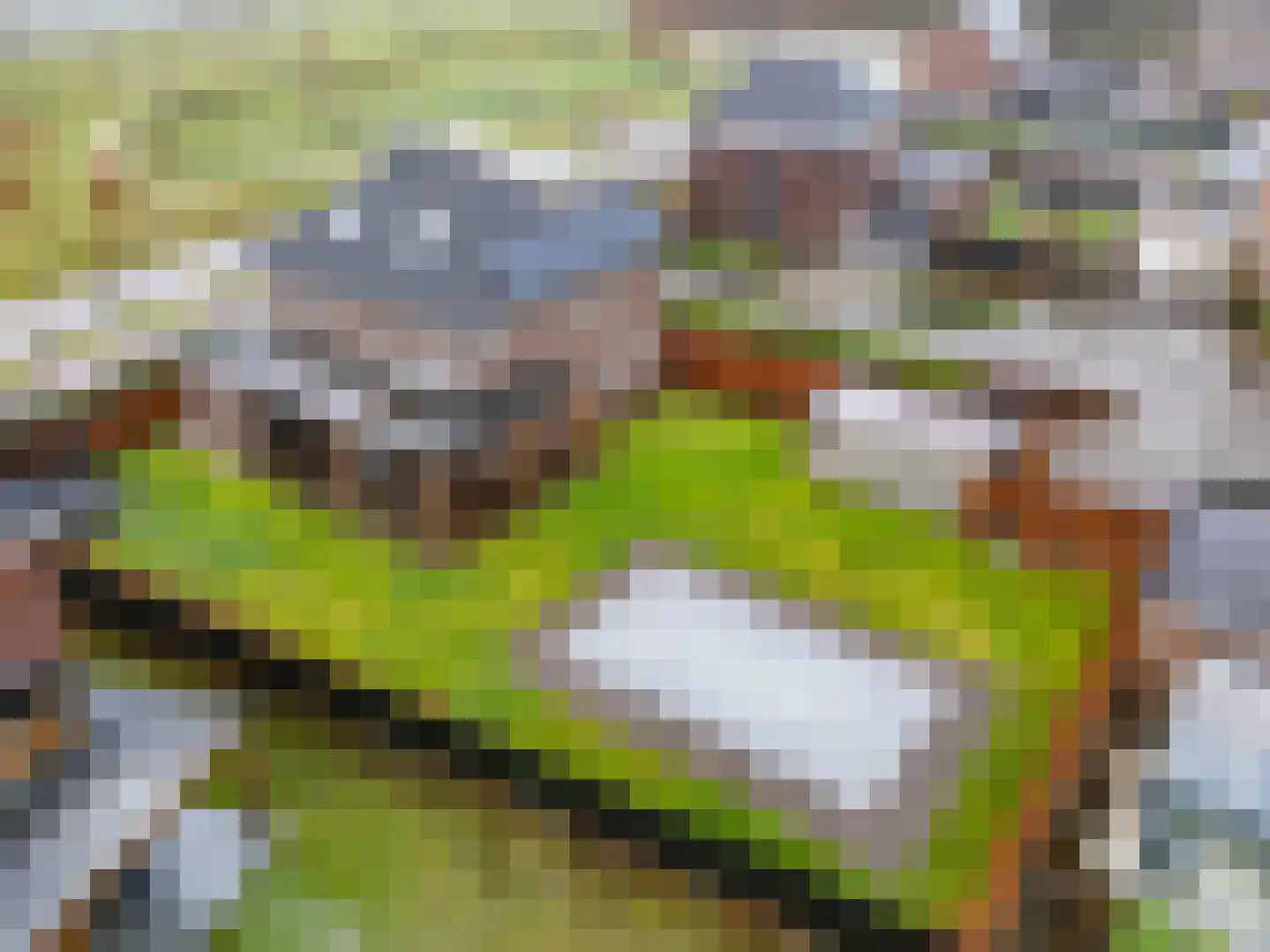 In het Veld 2 Venlo thumbnail 65