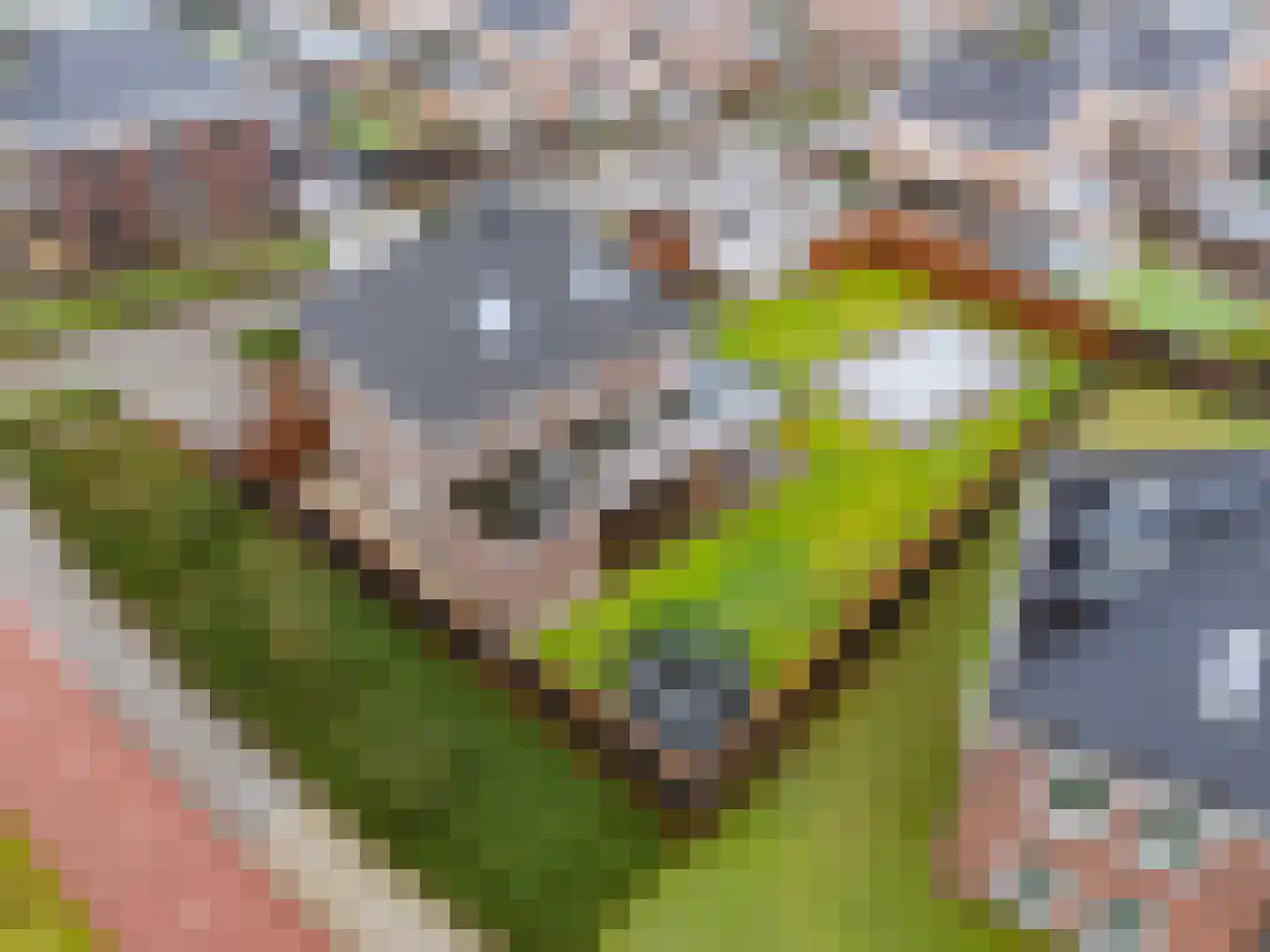 In het Veld 2 Venlo thumbnail 67