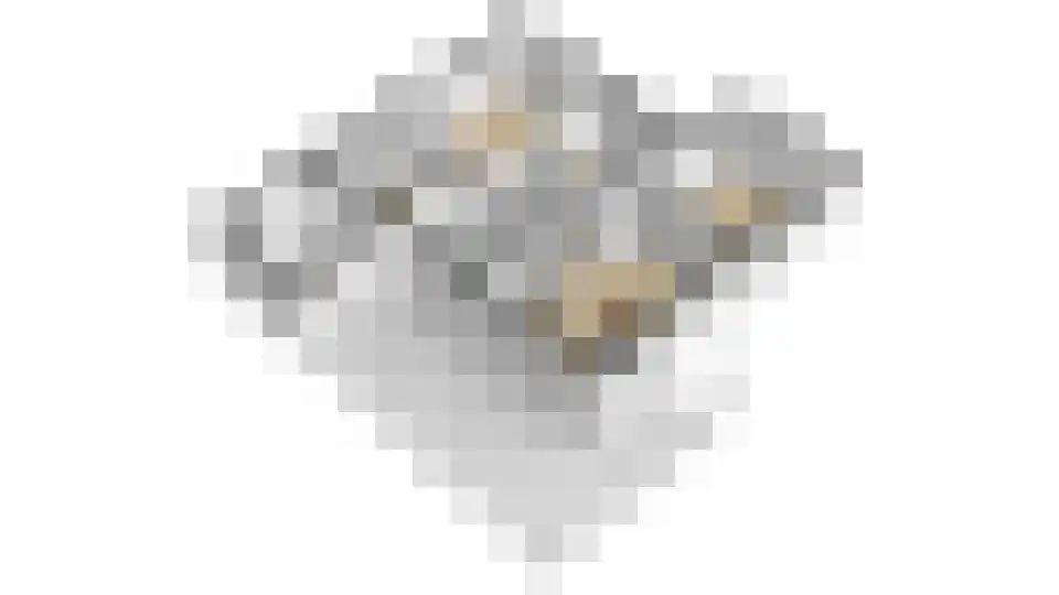 In het Veld 2 Venlo thumbnail 69