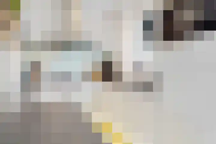In het Veld 33 Venlo thumbnail 17