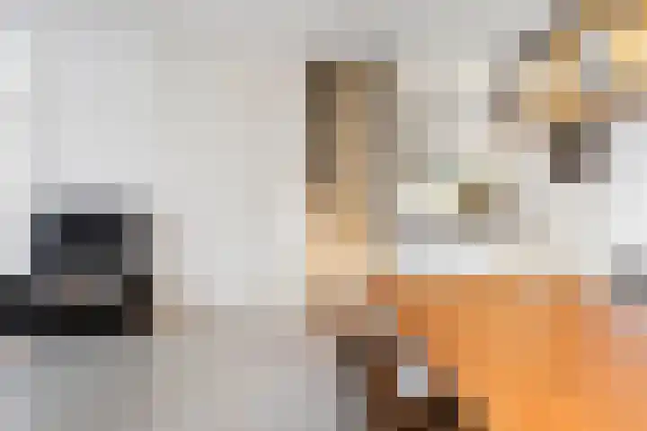 In het Veld 33 Venlo thumbnail 21