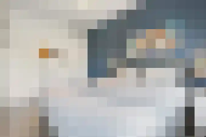 In het Veld 33 Venlo thumbnail 24