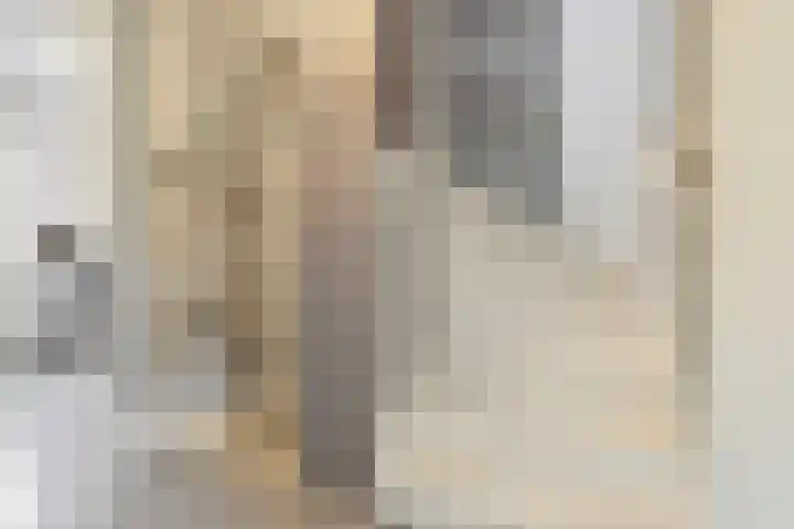 In het Veld 33 Venlo thumbnail 34