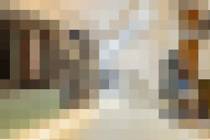 In het Veld 33 Venlo thumbnail 36