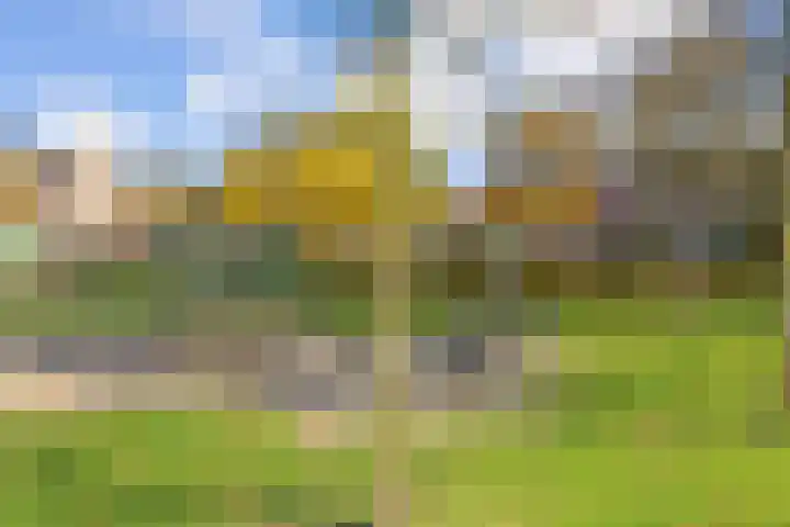 In het Veld 33 Venlo thumbnail 43