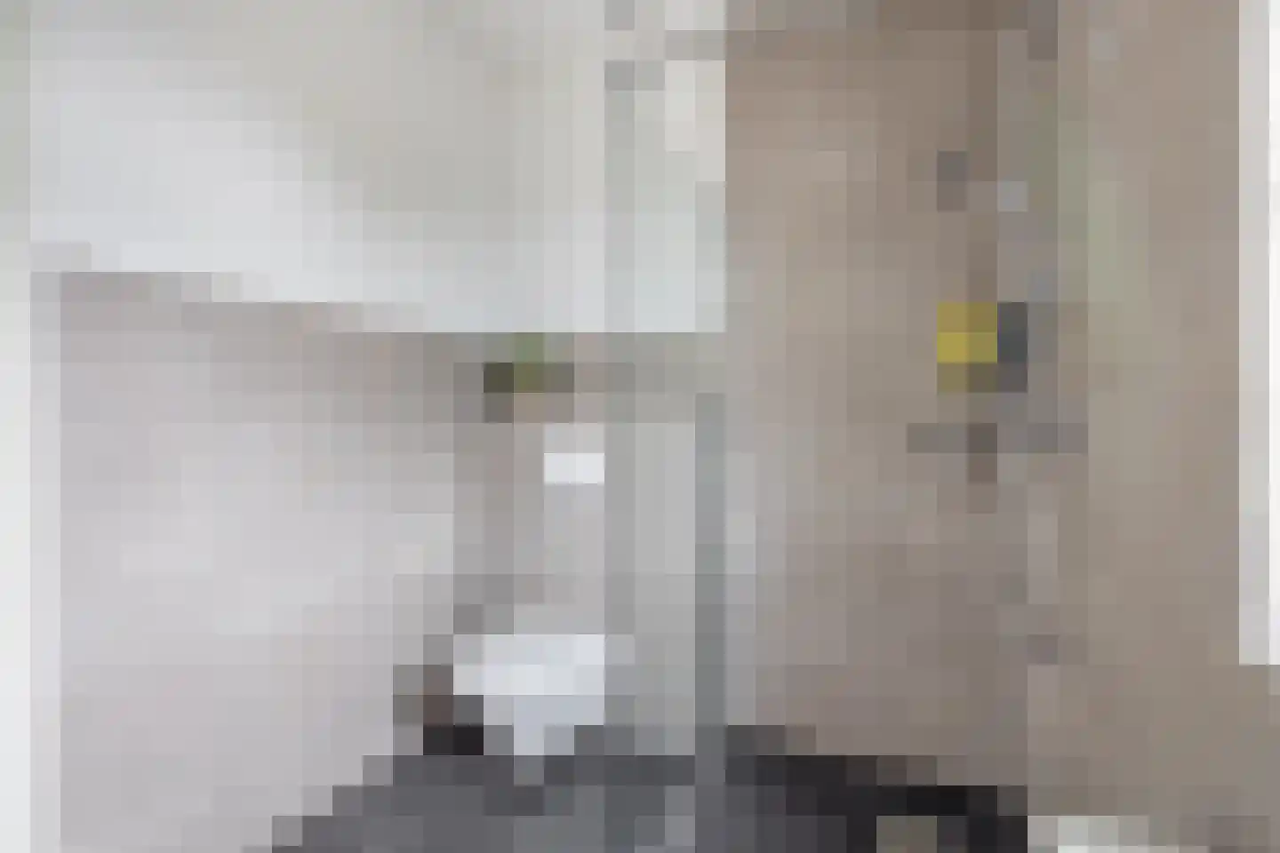 In het Veld 37 Venlo thumbnail 16