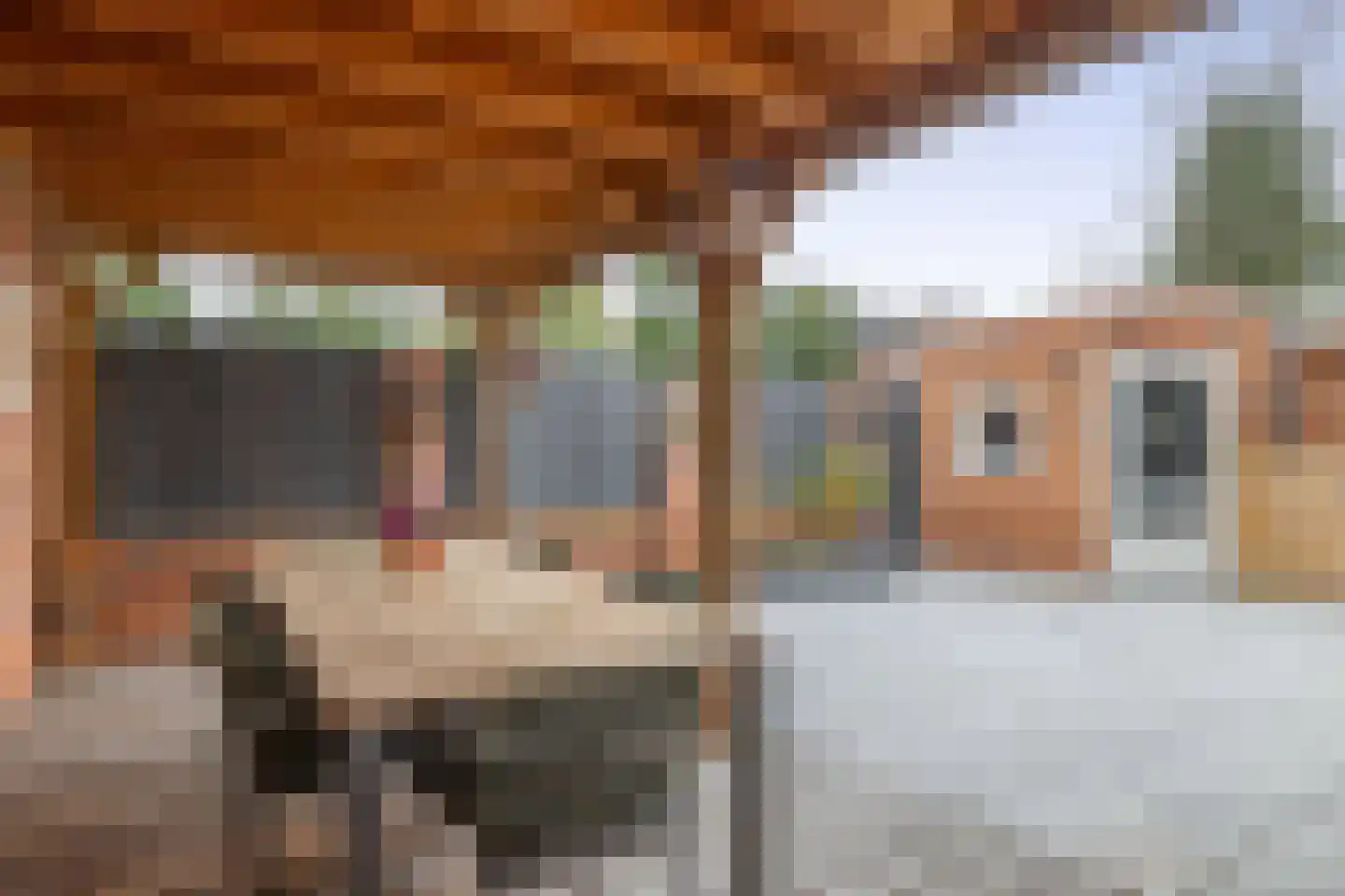 In het Veld 37 Venlo thumbnail 20