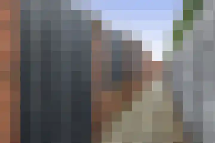 In het Veld 37 Venlo thumbnail 24