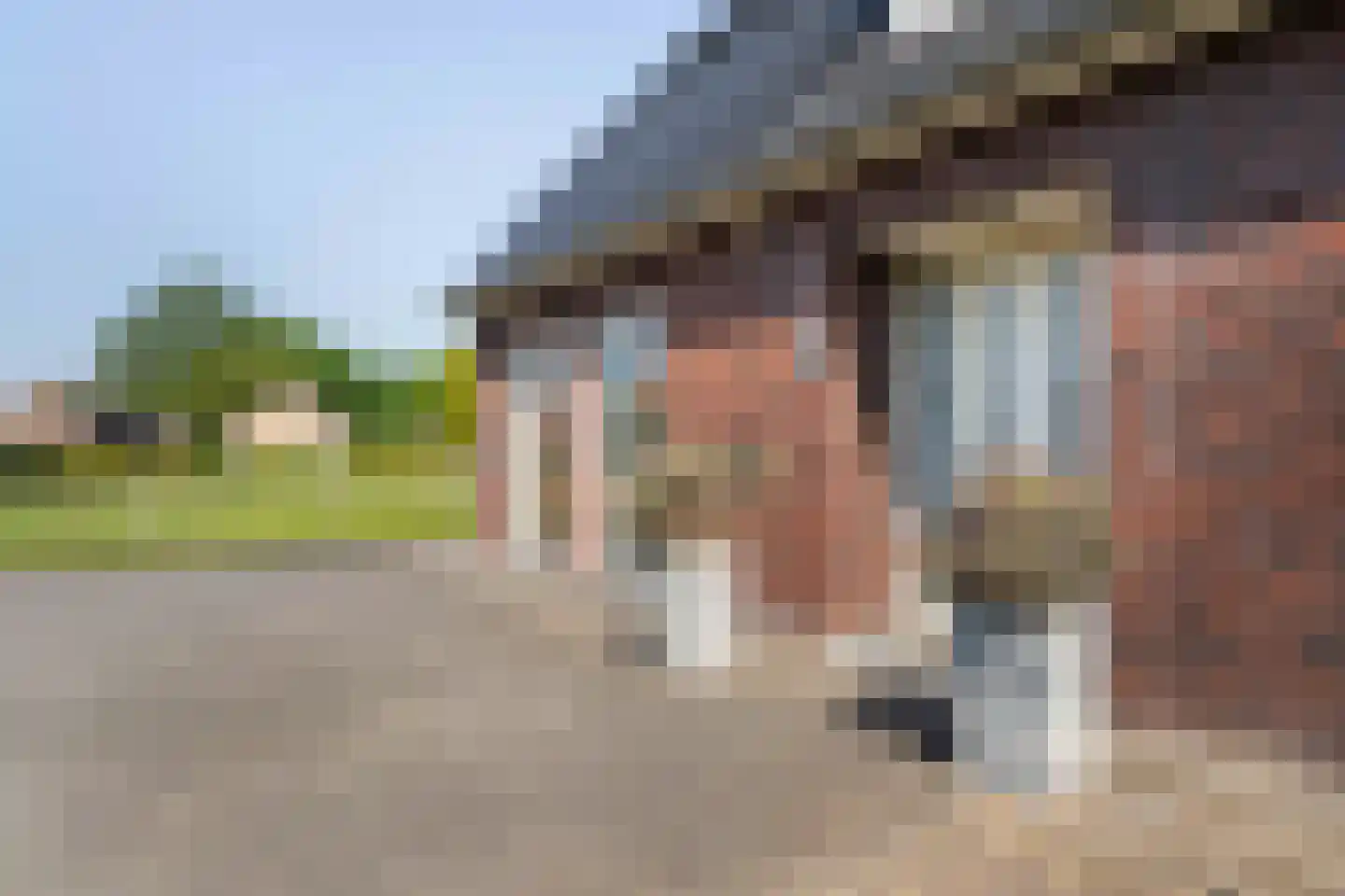 In het Veld 6 b Heythuysen thumbnail 8