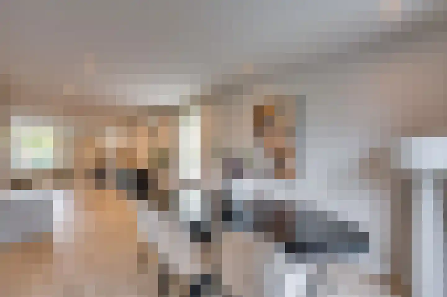 In het Veld 7 Venlo thumbnail 17