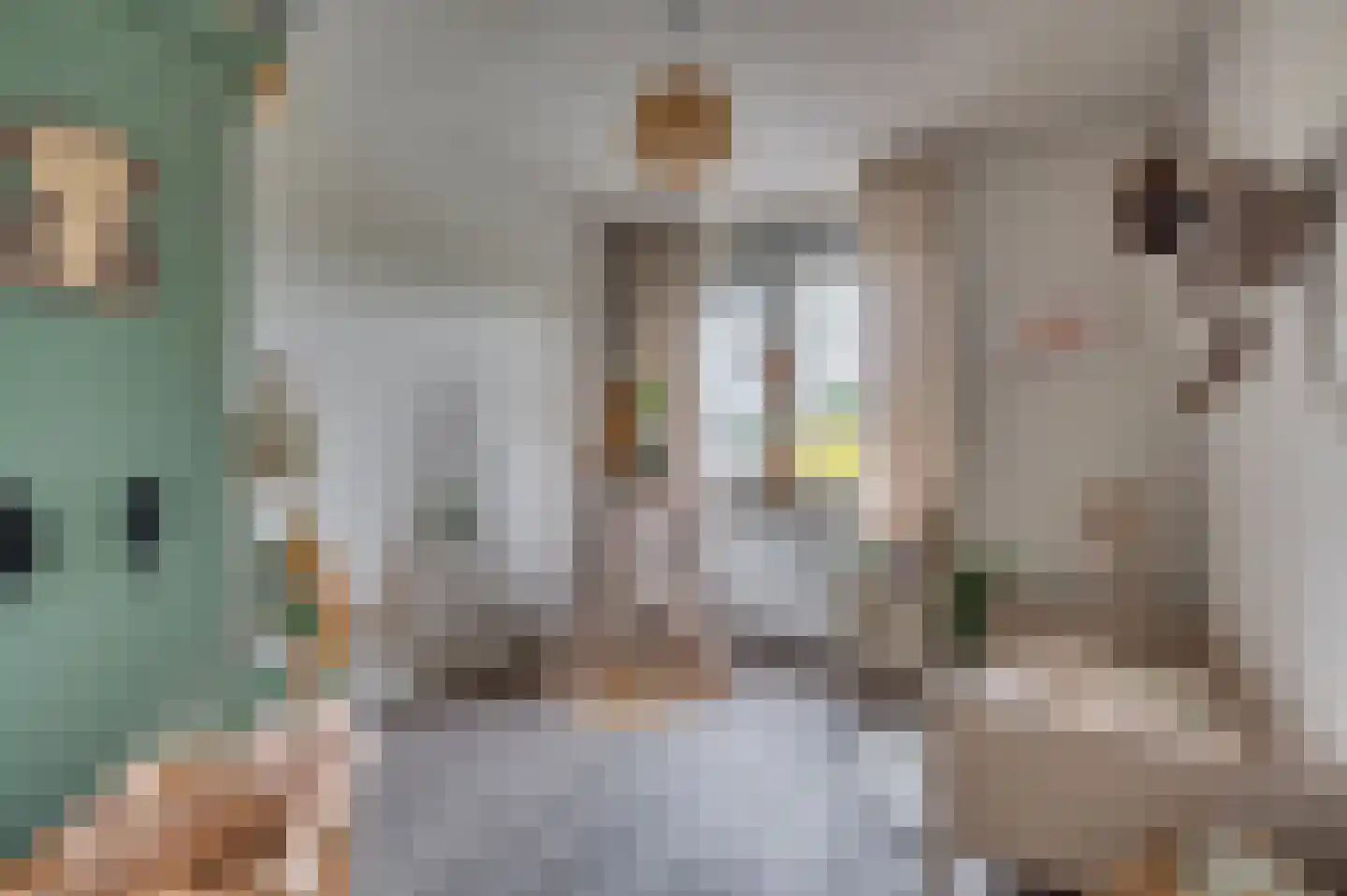 In het Veld 7 Venlo thumbnail 33