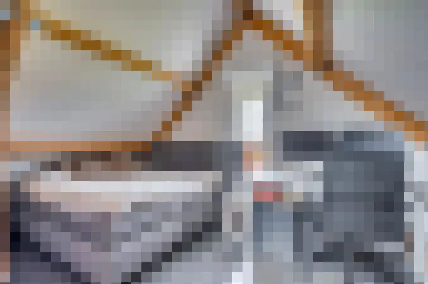 In het Veld 7 Venlo thumbnail 40