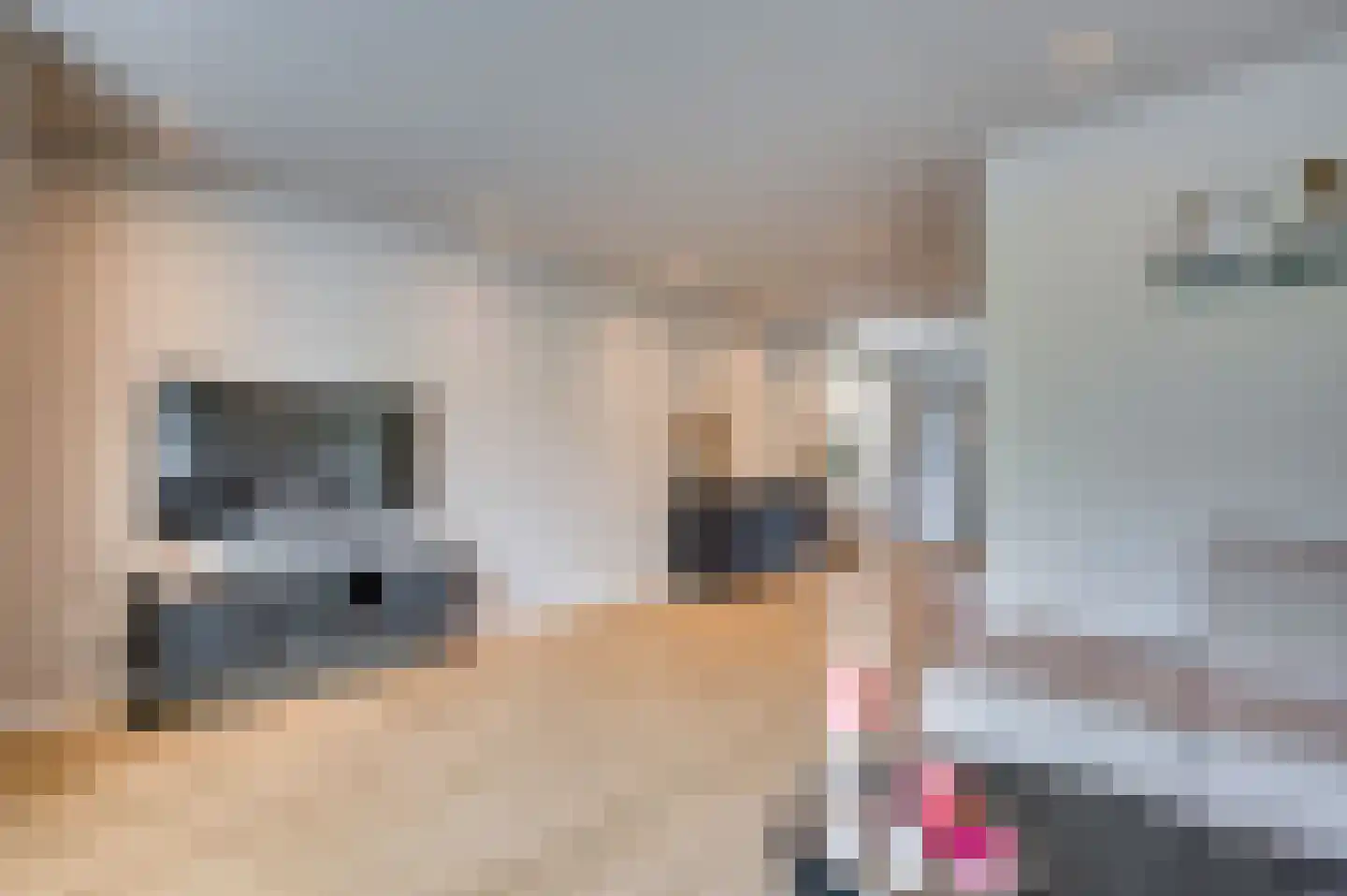 In het Veld 7 Venlo thumbnail 5