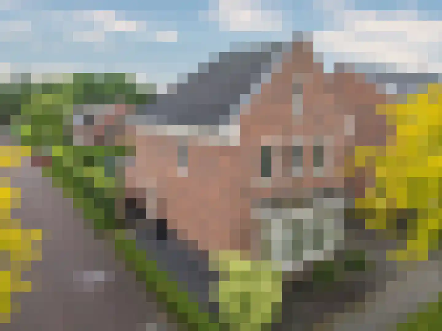 In het Veld 7 Venlo thumbnail 56