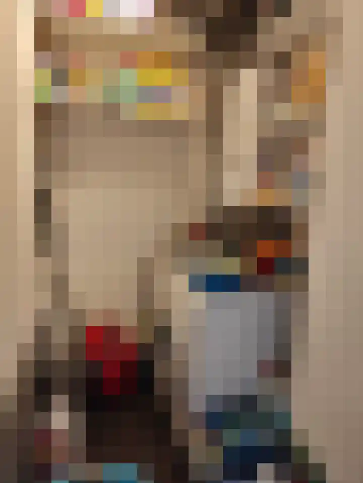 in 't Broek 5 1 Stevensweert thumbnail 11