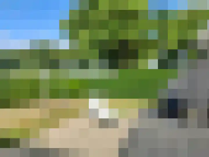 in 't Broek 5 1 Stevensweert thumbnail 5